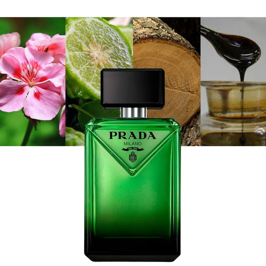 Prada Paradigme Eau De Parfum For Men 100ml | 70% Off + Extra 5% | Free USA Delivery